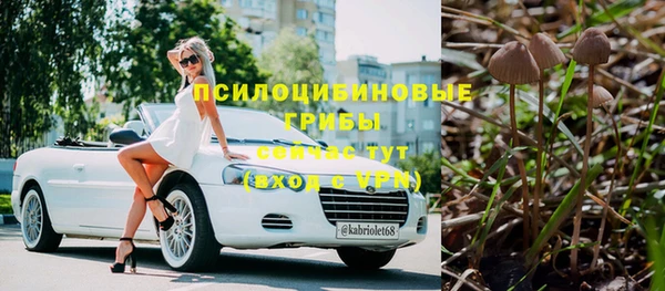 мдма Богородицк
