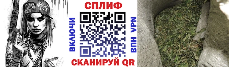 Бошки марихуана планчик Славянск-на-Кубани